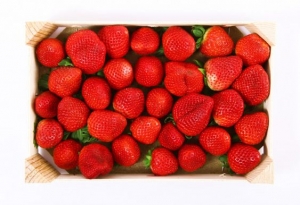 Fraises 250g