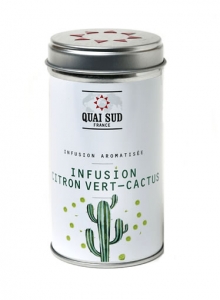 INFUSION GLACÉE CITRON VERT-CACTUS 24g