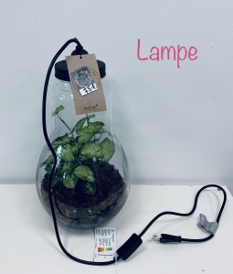 Lampe 