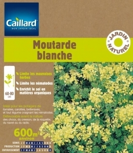 Moutarde blanche 600m²