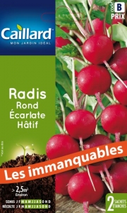 Graines Radis ronds écarlate hâtif