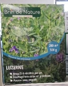 Semence Luzerne