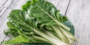 Plant cote de blette bio
