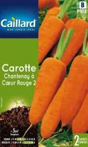 Graines Carotte Chantenay à coeur rouge 2